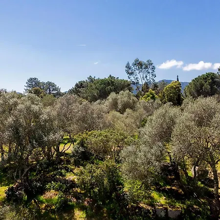 Domaine D'arca - Aragon 11 - 4 Pers - « Au Jardin D'arca » Lejlighed Porto-Vecchio (Corsica)