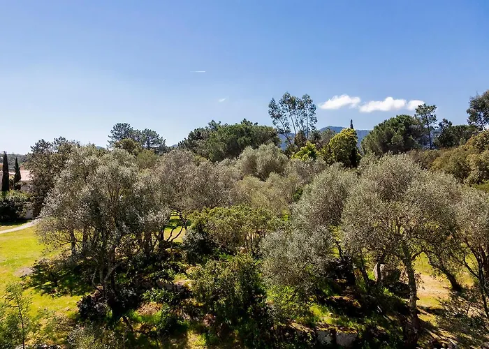 Domaine D'arca - Aragon 11 - 4 Pers - « Au Jardin D'arca » Lejlighed Porto-Vecchio (Corsica)